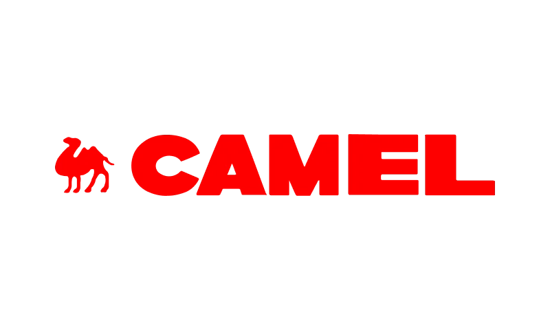 Camel
